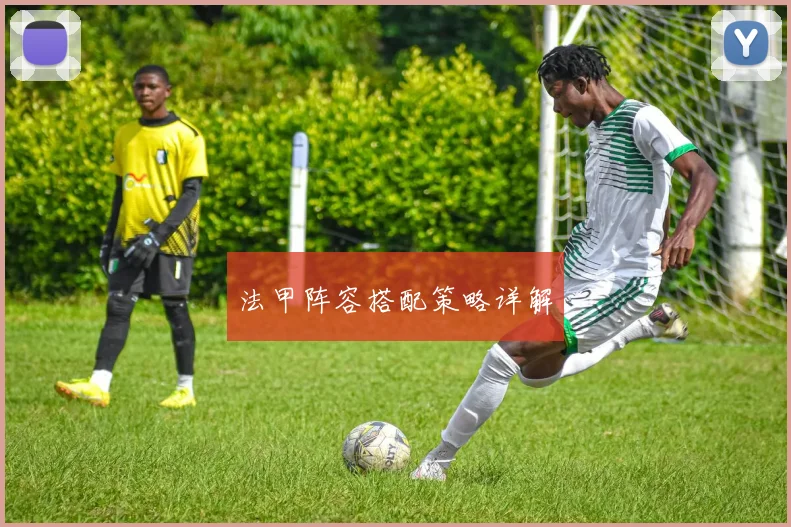 法甲阵容搭配策略详解