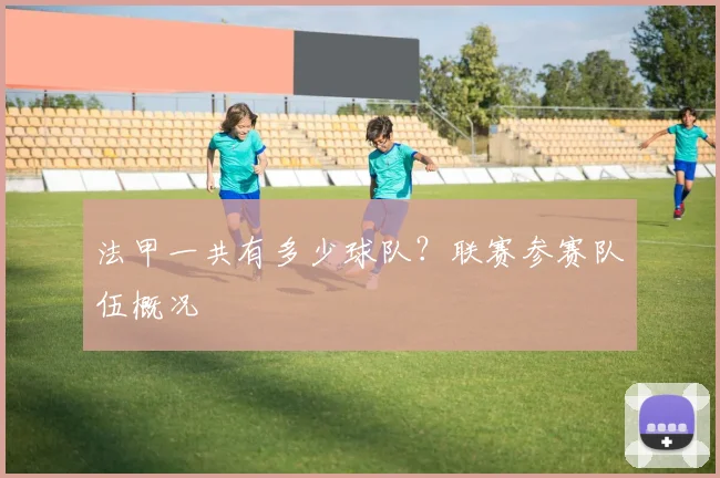 法甲一共有多少球队？联赛参赛队伍概况