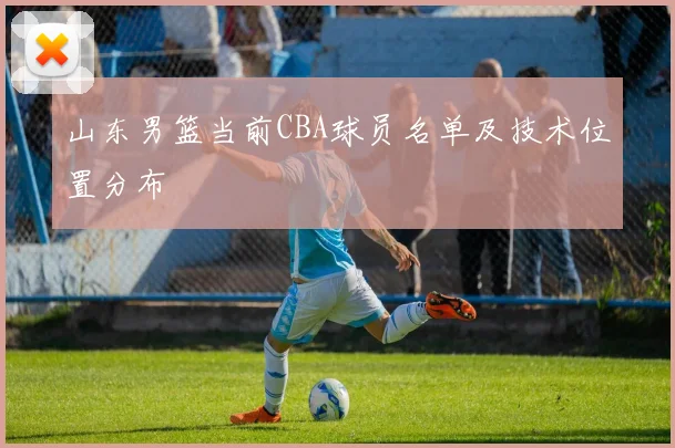 山东男篮当前CBA球员名单及技术位置分布