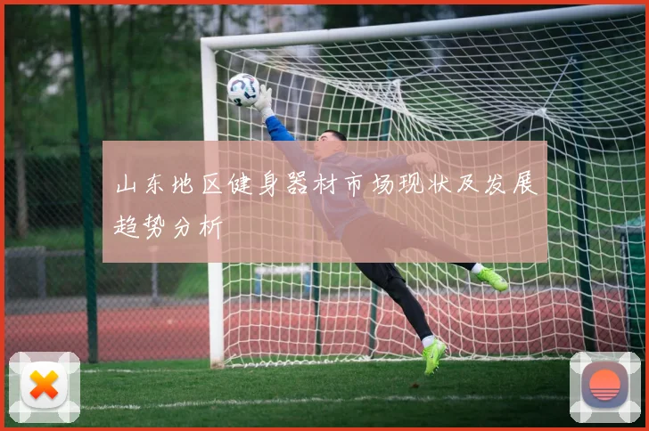 山东地区健身器材市场现状及发展趋势分析