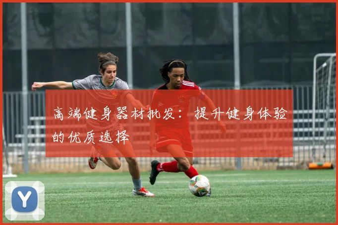 高端健身器材批发：提升健身体验的优质选择