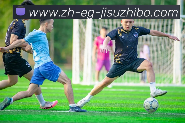 极速直播全站App